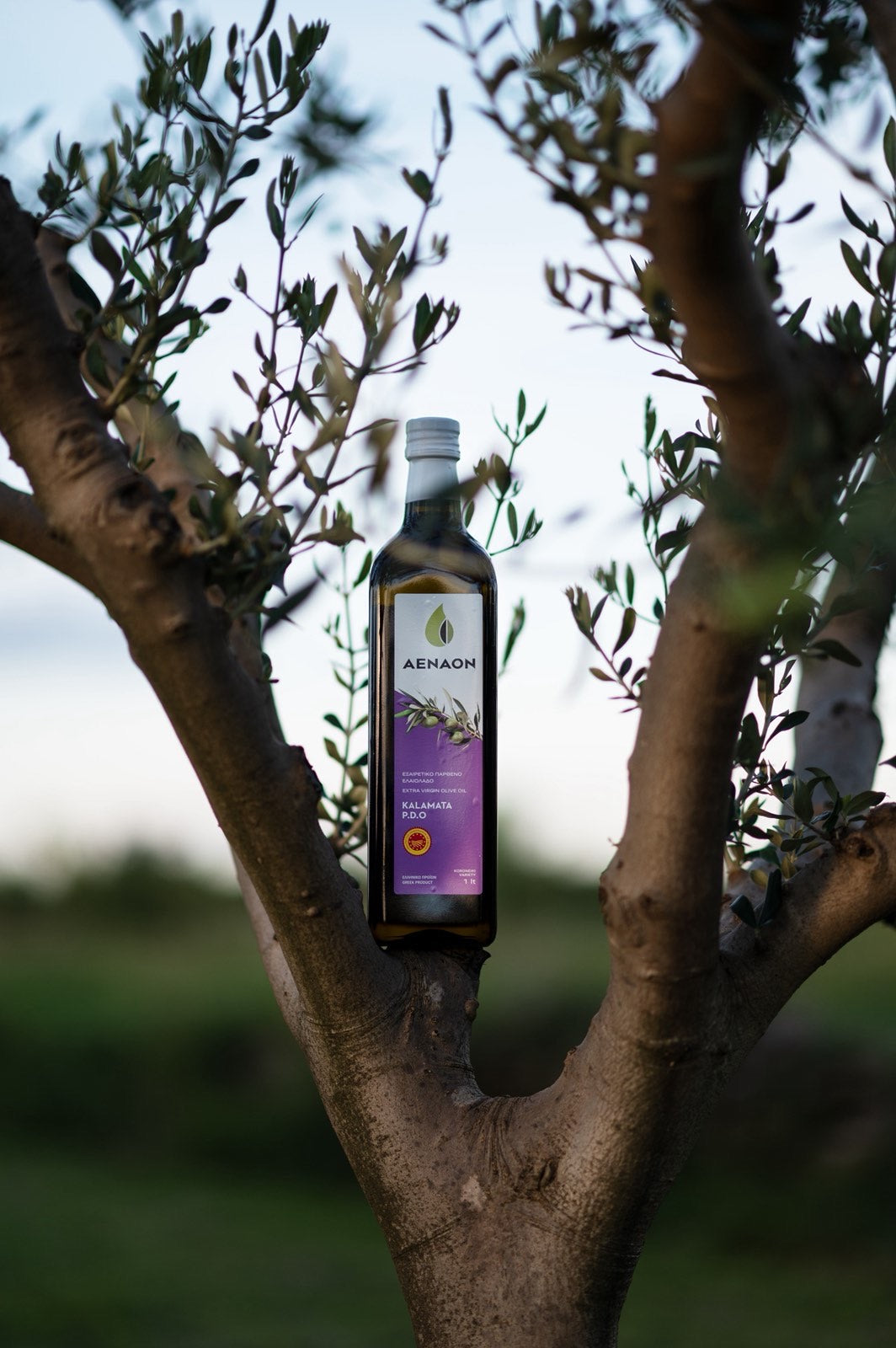 Extra Virgin Olive Oil P.D.O Kalamata 1L